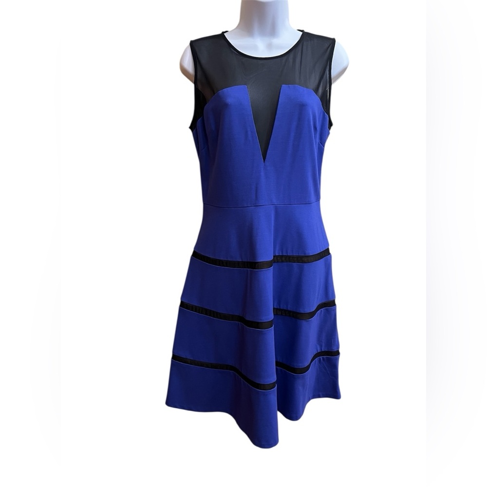 Erin Fetherston Blue and Black mesh Sleeveless fit and flare Dress